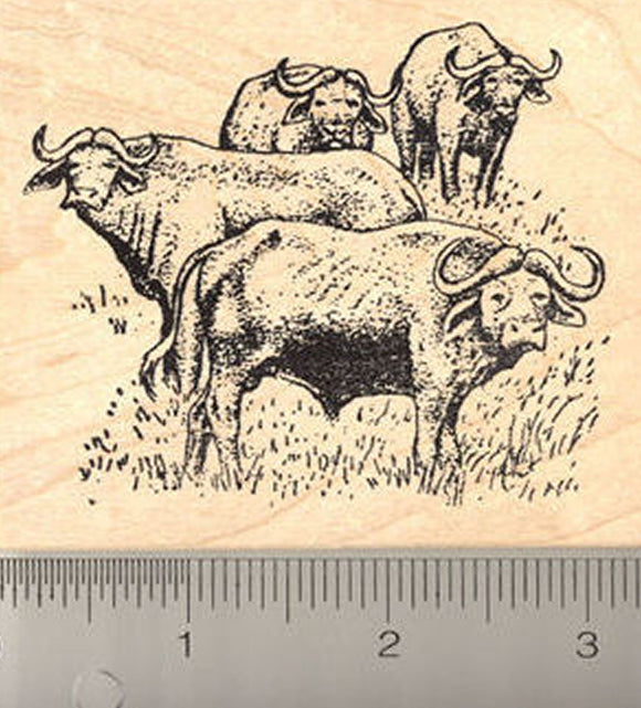 African Buffalo Rubber Stamp