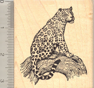 Jaguar Cat Rubber Stamp, South and Central American Panther