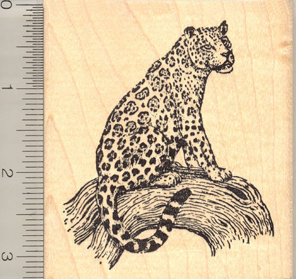Jaguar Cat Rubber Stamp, South and Central American Panther