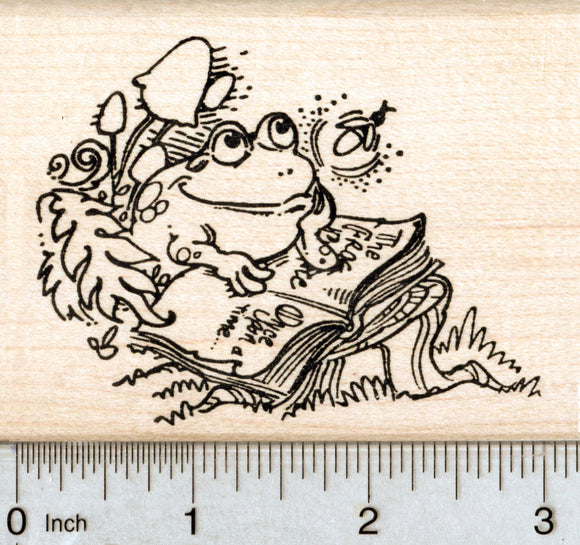 Reading Frog Rubber Stamp, Fun Books Series