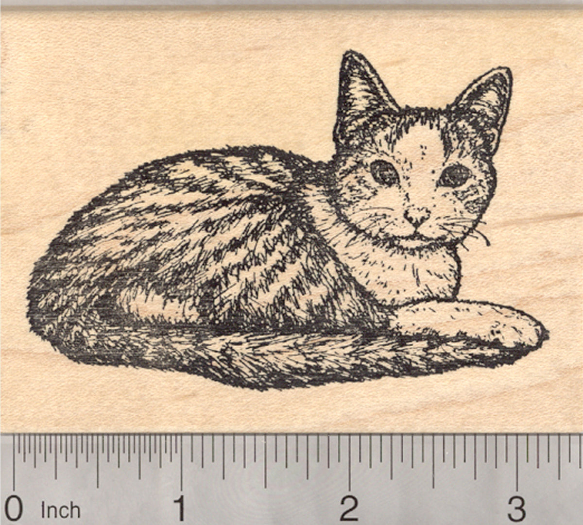 Small Paw Print Rubber Stamp, Cat, Dog, Pet, Half Inch Sized, .5