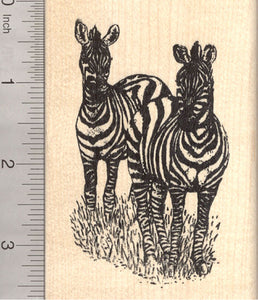 Zebra Pair Rubber Stamp, African Wildlife