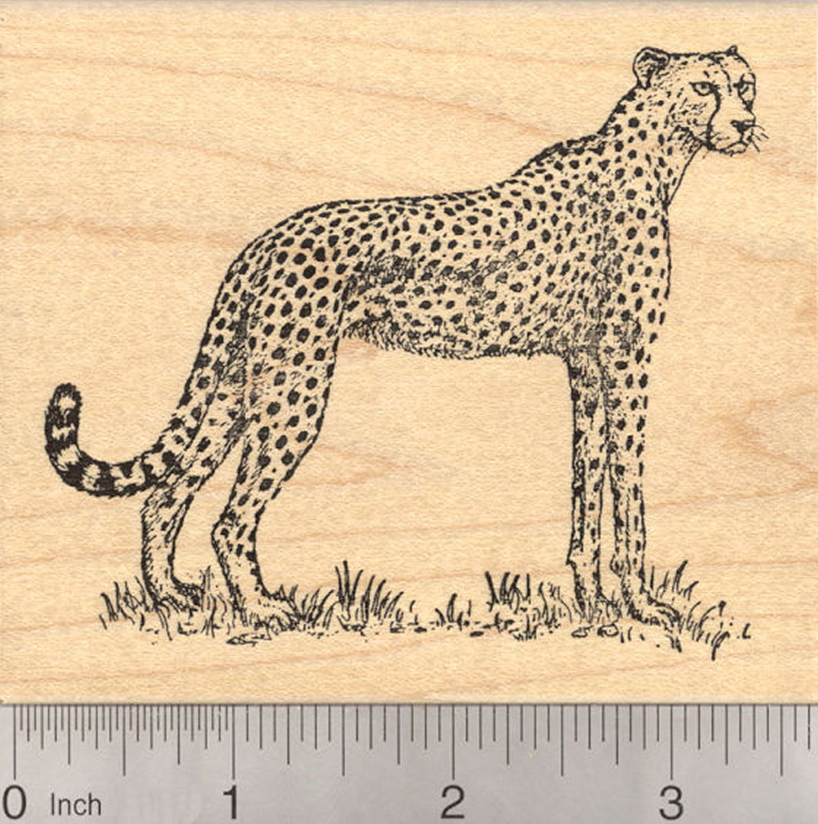 Cheetah Paw Print Rubber Stamp – RubberHedgehog Rubber Stamps