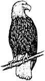 Unmounted Bald Eagle Rubber Stamp umH3008