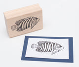 Royal Angelfish Rubber Stamp, Tropical Regal Fish, Indo-Pacific Oceans