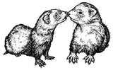 Unmounted Ferrets Kissing Rubber Stamp umM3813