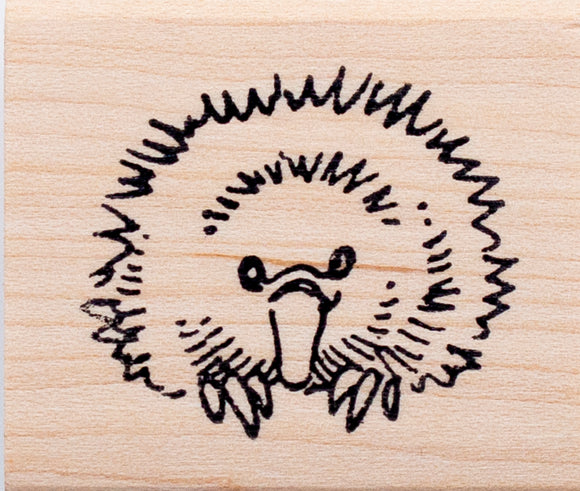 Cute Echidna Rubber Stamp