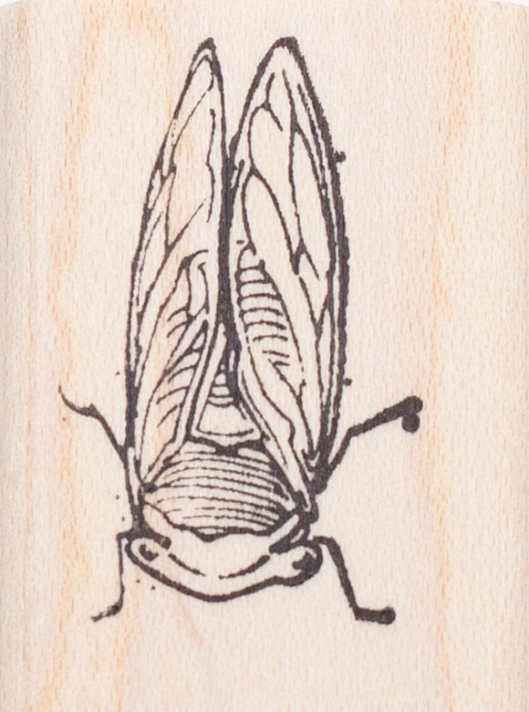 Cicada Rubber Stamp, 1 3/8 inch Size