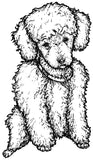 Unmounted Toy Poodle Rubber Stamp, Small umE4503
