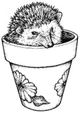 Unmounted Hedgehog Rubber Stamp, in Garden Pot, Small umG4505