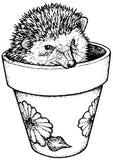 Unmounted Hedgehog Rubber Stamp, in Garden Pot umK4508