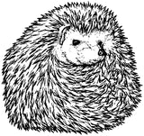 Unmounted Hedgehog Rubber Stamp, Small umE4511