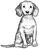 Unmounted Beagle Dog Rubber Stamp, Sitting umH5005