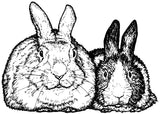 Unmounted House Rabbit Pair Rubber Stamp, Dutch Bunny and Large Upright Ears umK6110