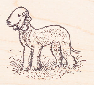 Bedlington Terrier Dog Rubber Stamp