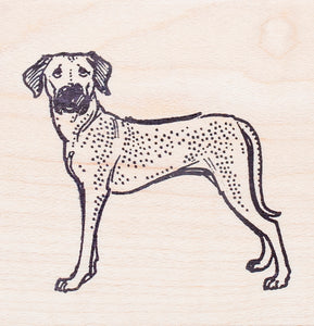 Rhodesian Ridgeback Dog Rubber Stamp