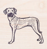 Rhodesian Ridgeback Dog Rubber Stamp