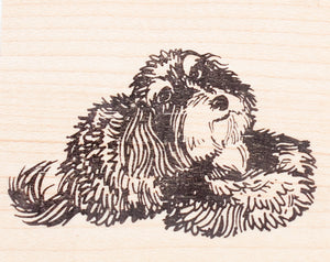 Havanese Dog Rubber Stamp, Toy breed