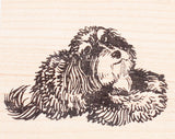 Havanese Dog Rubber Stamp, Toy breed