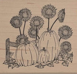 Sunflower Pumpkin Fall Rubber Stamp