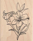 Lily Flower Rubber Stamp, Large Size Lilies