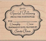 Santa Claus Rubber Stamp, Special Delivery from the North Pole