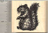 Squirrel Rubber Stamp, Small