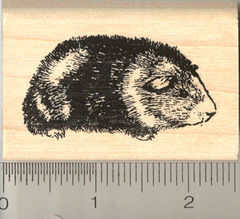 Guinea Pig Rubber Stamp