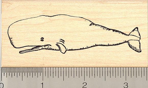 Sperm Whale Rubber Stamp