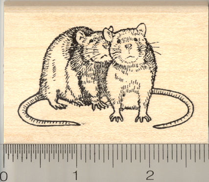 Rat Pair Rubber Stamp, Two Rats Together