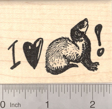 I Love my Ferret Rubber Stamp