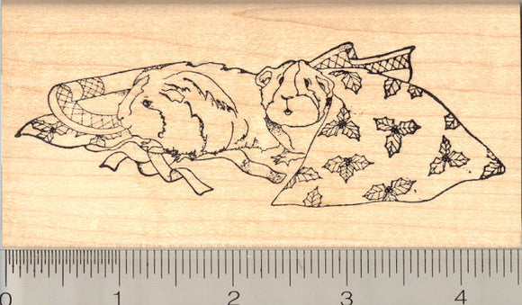 Christmas Guinea Pig Rubber Stamp, in Gift Wrap