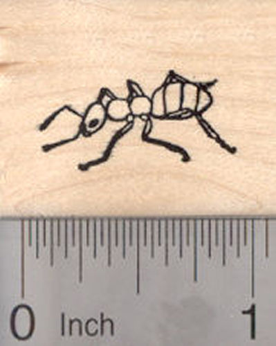 Ant rubber Stamp – RubberHedgehog Rubber Stamps