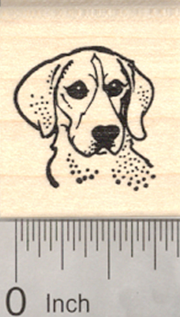 Beagle Dog Rubber Stamp, Portrait