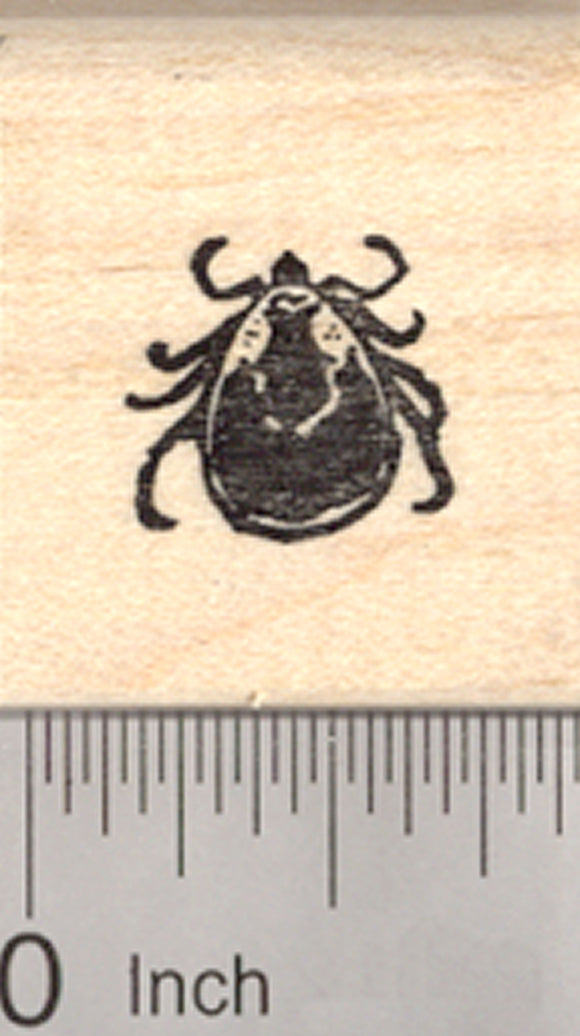 Woodtick Rubber Stamp, American Dog Tick, Rocky Mountain