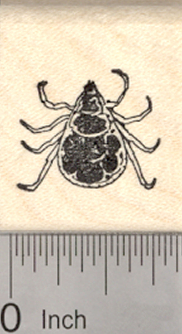 Dog Tick Rubber Stamp, Parasite, Lyme Disease, Rocky Mountain Fever