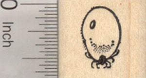 Engorged Dog Tick Rubber Stamp, Parasite, Lyme Disease, Rocky Mountain Fever