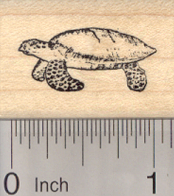 Sea Turtle Rubber Stamp, Green, Hawksbill, Small