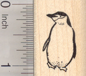 Chinstrap Penguin Rubber Stamp, Small