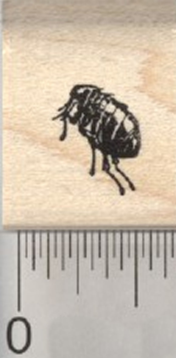 Tiny Flea Rubber Stamp, .5 inch