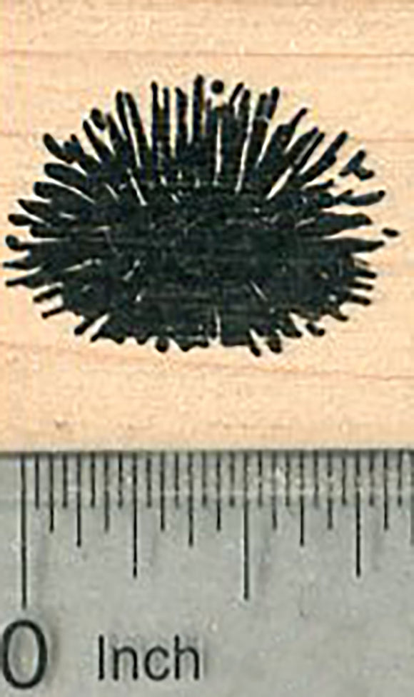 Sea Urchin Rubber Stamp, Spiny Marine Wildlife