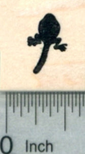 Tiny Tadpole Rubber Stamp, Aquatic Frog or Toad Larva