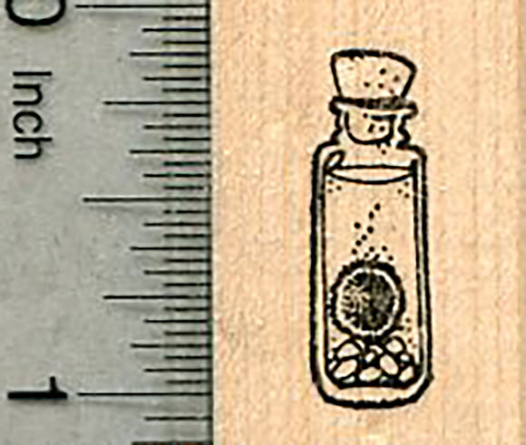 Moss Ball in Bottle Rubber Stamp