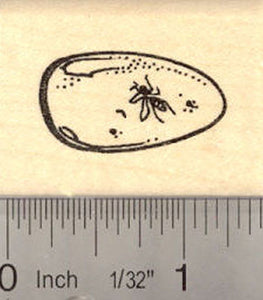 Insect in Amber Rubber Stamp