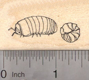 Pill Bug Rubber Stamp, roly poly, Potato Bug, Sow bug, woodlice