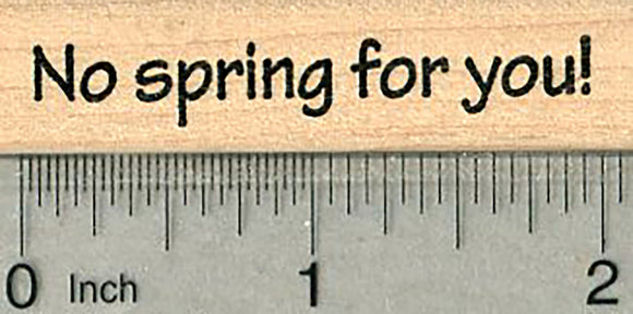 Groundhog Day Rubber Stamp, Saying, No spring for you