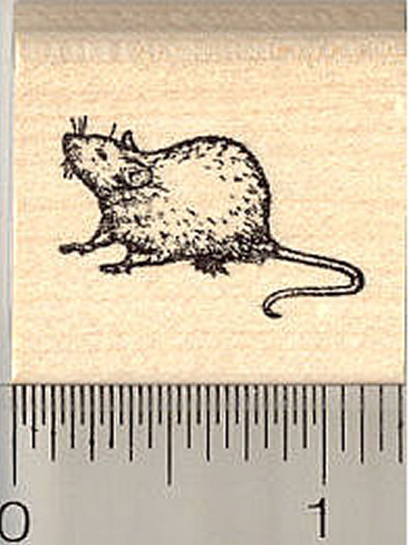 Rat Rubber Stamp, Small