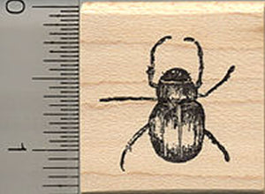 Beetle Rubber Stamp