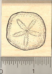 Sand Dollar Rubber Stamp