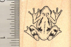 Frog Rubber Stamp, Small